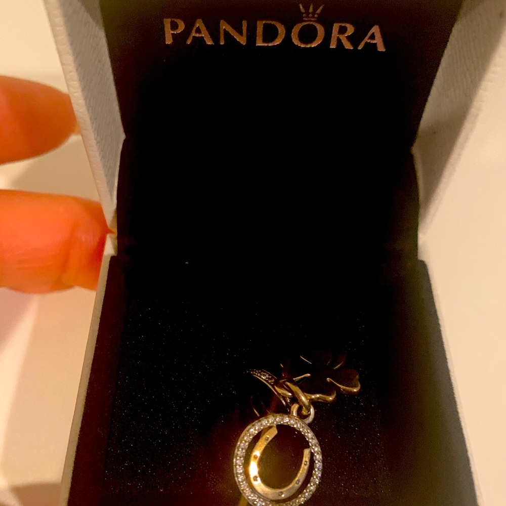 Pandora bracelet charm